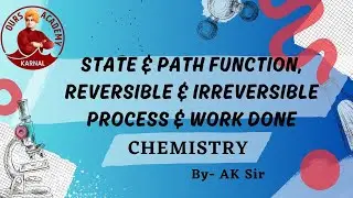 Thermodynamics || State & Path Function, Reversible & Irreversible Process, & Work Done || class 11 