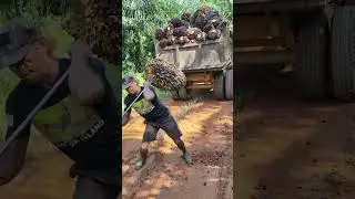 2 bm pemula coba angkat buah 90 kg