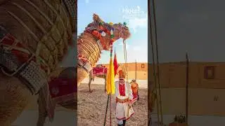 The jaisalmer desert festival: What to expect