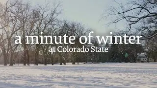 A minute of winter at Colorado State ❄️