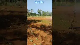 #sprinklerirrigation #vegetablecultivation #waterresource #microirrigation #rayagada #savewater