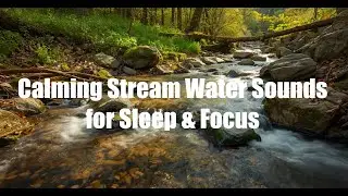 💧🌿 8 Hours of Flowing Stream Water Sounds for Deep Sleep & Relaxation