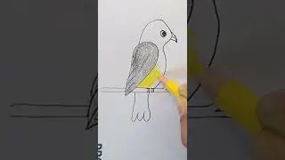 Birds 🐦 art #shortsfeed #art #drawing #easydrawing #activekid #artshorts #babyart @VladandNiki