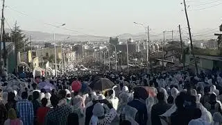 Hana mariam Timiket