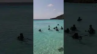 Cura&ccedil;ao Porto Mari 2024 #mergulholivre #caribe #vlog #vacation