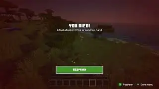 Minecraft duo speedrun any%