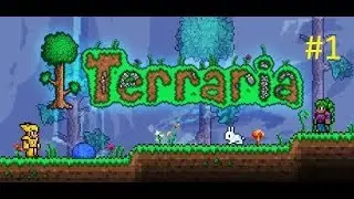 LEAVE THE WALL ALONE! - Terraria Let's Play