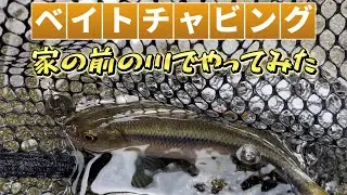 いちばん小さいルアー釣り？家の前の川でチャビングしたら楽しすぎた