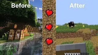 Minecraft But DAMAGE Turns Down My Video Settings