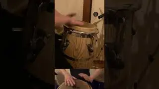 #music #shorts #conga #打楽器 #音楽