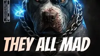 Country Outlaw- They All Mad 