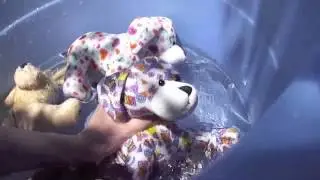 webkinz go swimming