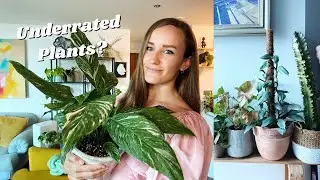 Underrated Plants in my Opinion 👀