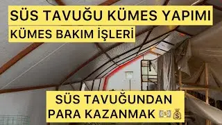 Sıfırdan S&uuml;s Tavuğu K&uuml;mesi Yapımı 🐓 | K&uuml;mes Bakımı İşleri