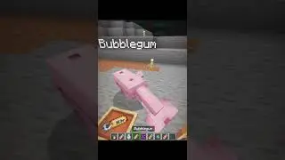 Minecraft Secret Tags Moment