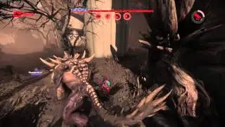 EVOLVE - VOODOO GOLIATH