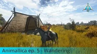 Animallica (5) - Wandering
