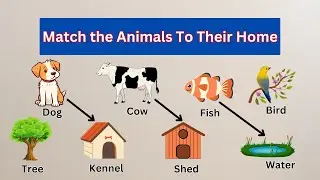 Match the Animals to their Home | Junior KG | Animals home | Kids Learning @BrightBrainsKidsZone