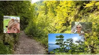 Wandern zur Harbach Alm 🏞️ ➕ Chiemsee • Leben im Chiemgau