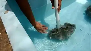 PEMIJAHAN KERANG KIMA UNHAS BARRANG LOMPO