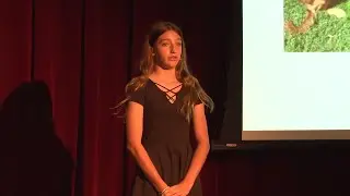 Aristotelian Rhetoric and Golden Doodles | Alexa Cousin | TEDxTheBenjaminSchool