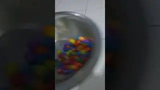 iamiami