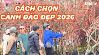 Sôi động chợ Lê Hồng Phong sắc màu của tết 2026 