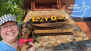 Eating at Lazy Dog Restaurant & Bar - Concord, CA