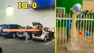 Pictures That Prove People Have 0 IQ