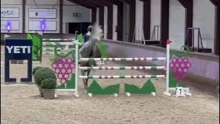 Ice Cream 9 y/o mare by Diarado x Classido placed up to 140