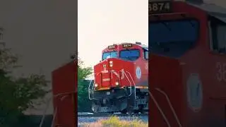 Canadian National Rolling Through Plainfield