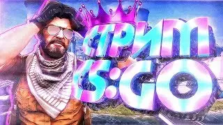 😎Стрим😎///CS GO#topGG/