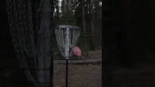 Understable Putter SKIP Shot In The Woods #shorts