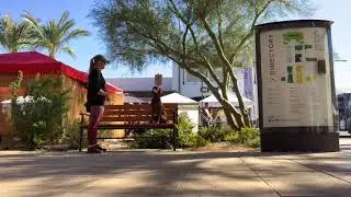 10mo Weisla Andi ~ Best Weimaraner Vizsla Trainers ~ Off Leash K9 Training Phoenix