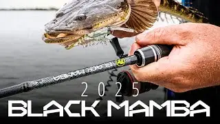 TT 25 Black Mamba Light Spin Fishing Rods - An Overview.