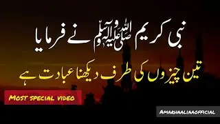 Hadee's Mubarak in Urdu|hadees|Hadee's Shareef in Urdu|Hadith in Urdu|Hadith