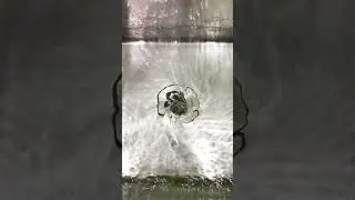 Relaxing Mini Whirlpool in a Kitchen Sink