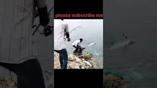 #fishing # #fishbait #fish #carpfishing Monster katla catching bada katla catch kaise