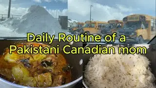 Daily Routine Life of a Pakistani Canadian mom / Cooking / Cleaning / Morning to Evening.