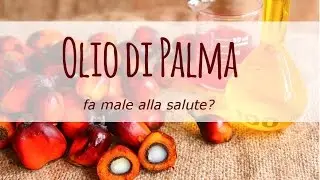Olio di palma: fa male alla salute?