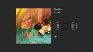 disco bah&iacute;a _ necedad