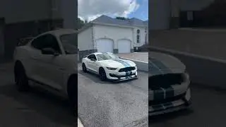 Wimbledon White with Guardsman Blue Stripes 2020 Shelby GT350R Heritage Edition