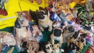 Toys shop in pathankot Punjab | Teddy  video