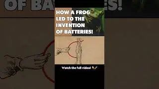 How a Frog Led to the Invention of Batteries!  #history  #science