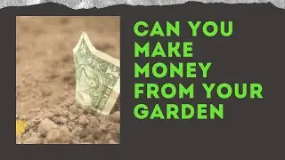 Make money from your backyard