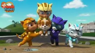 PAw Partol Cat Pack