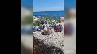 Тайны моря...
