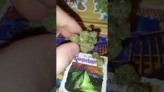 Marathon og thca from my qwin #shorts #weedchannel #shorts #trending #viralvideo #foryou