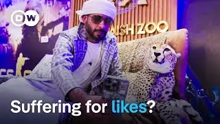 Animals on Instagram - Costumed dogs and tigers in Lamborghinis | DW Documentary