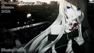 Epic Dubstep/Drumstep Mix 2014 // 'Blossom' [HD]
